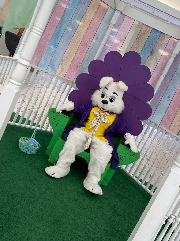 Easter Bunny for Texas egg hunts at a spring photo station